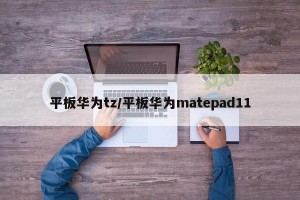 平板华为tz/平板华为matepad11