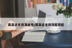 真高达无双满属性/真高达无双技能搭配