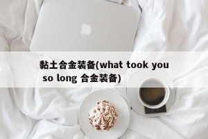 黏土合金装备(what took you so long 合金装备)