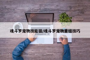 魂斗罗宠物技能狙/魂斗罗宠物重组技巧