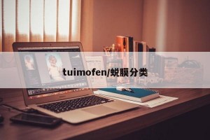 tuimofen/蜕膜分类