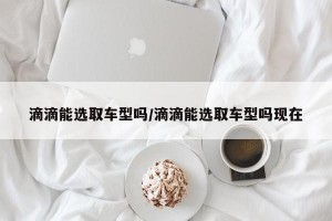 滴滴能选取车型吗/滴滴能选取车型吗现在