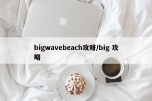 bigwavebeach攻略/big 攻略