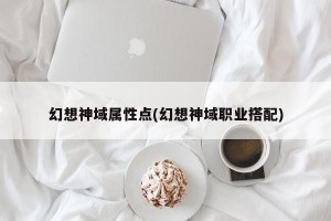 幻想神域属性点(幻想神域职业搭配)