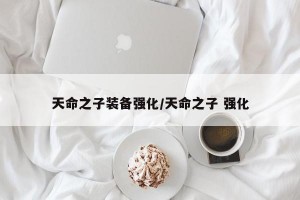 天命之子装备强化/天命之子 强化