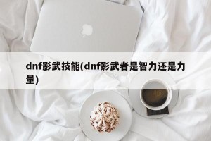 dnf影武技能(dnf影武者是智力还是力量)