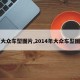 【大众车型图片,2014年大众车型图片】